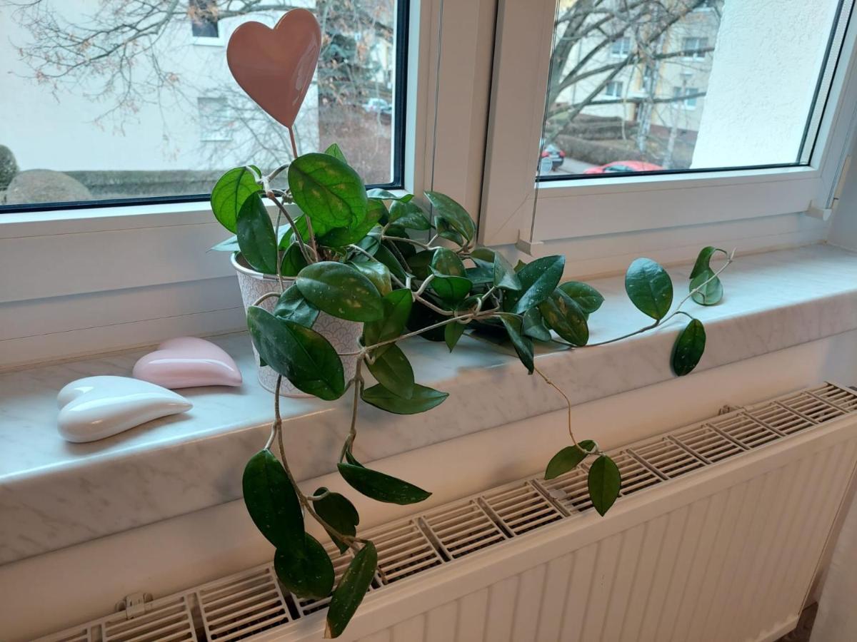 Helles Modern Eingerichtetes Apartment Halle  Eksteriør bilde