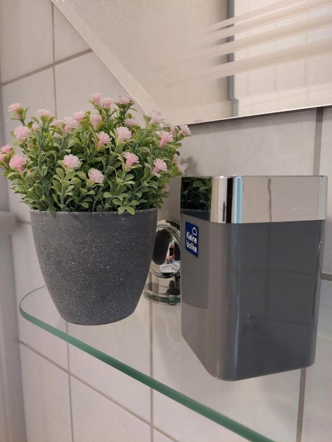 Helles Modern Eingerichtetes Apartment Halle  Eksteriør bilde