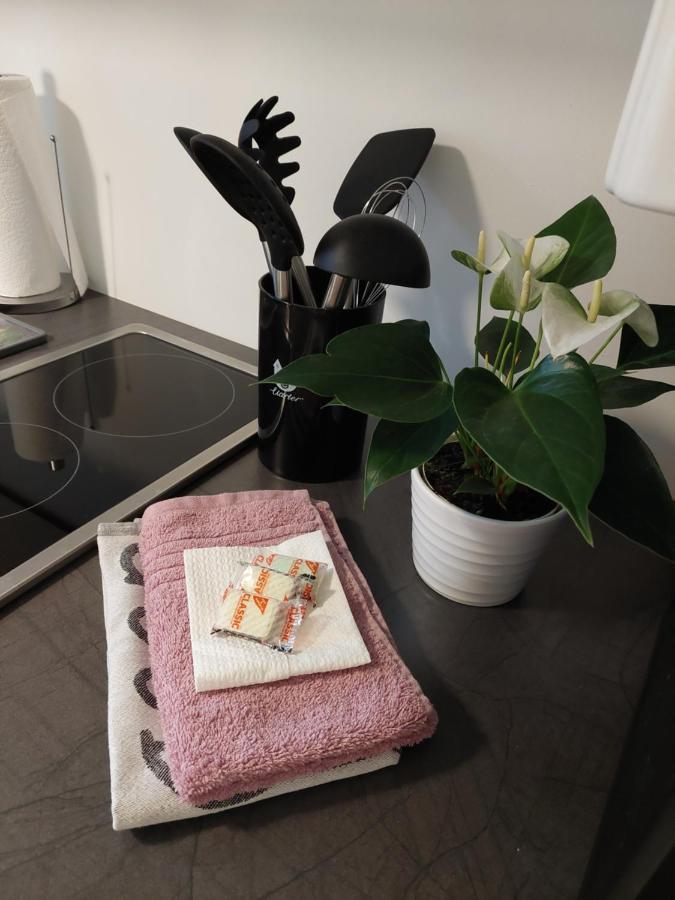 Helles Modern Eingerichtetes Apartment Halle  Eksteriør bilde