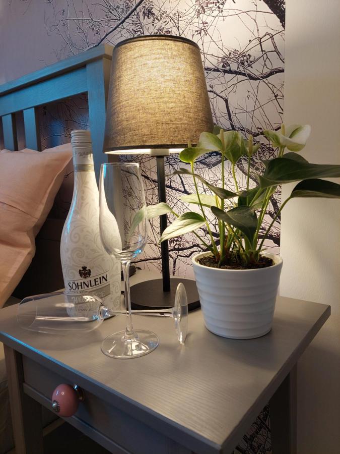Helles Modern Eingerichtetes Apartment Halle  Eksteriør bilde